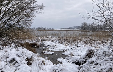 Gräben, Mönche, Teiche