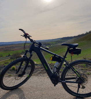 Heuchelberg auf Rad und Pfad | E-Bike Tour