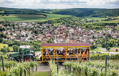 Hoch auf dem gelben Wagen | © Jakobshof Lehr