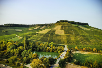 Mönchsbergsee mit Weinausschank vom Weinkonvent Dürrenzimmern | Brackenheim | HeilbronnerLand | © Weinkonvent Dürrenzimmern