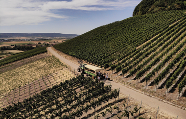 Planwagenfahrt Rolf Willy | © Privatkellerei Rolf Willy