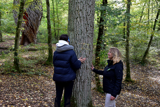 Mythos Baum | © Sabine Murschel