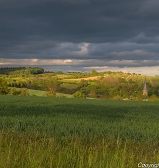 Naturwanderung im Kraichtal | © Stadt Kraichtal
