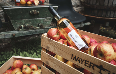 Vom Apfel zur Flasche – regionale Handwerkskunst auf dem Mayerhof. | © Tourimia Tourismus GmbH