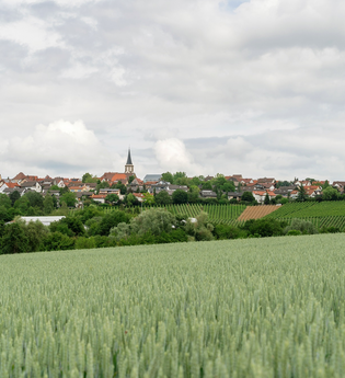 DSGVO NT Neckarwestheim Blick auf Neckarwestheim WEB | © artofpoggel.de Kristof Pogge