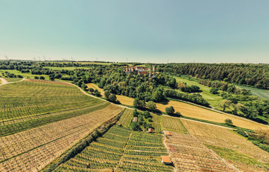 Burg Liebenstein mit umgebenden Weinbergen aus der Vogelperspektive | © Touristikgemeinschaft HeilbronnerLand e.V.