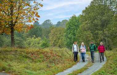 Panoramaweg Taubertal - Organisierte Wanderung | © Liebliches Taubertal