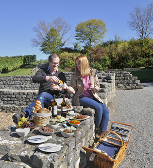 Picknick am Römischen Gutshof | Lauffen a. N. | HeilbronnerLand | © Stadtverwaltung Lauffen a. N.