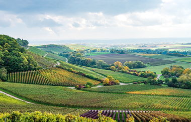 Weinlandschaft im Zabergäu - Ausblick vom Zweifelberg | HeilbronnerLand | © Touristikgemeinschaft HeilbronnerLand e.V.