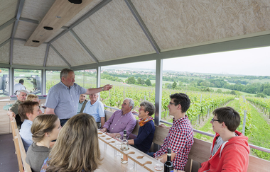 Theo | Planwagen- und Weinbergrundfahrten | Brackenheim | © Weingärtner Stromberg-Zabergäu