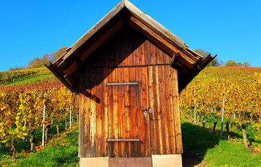 Radreiseleitung im HeilbronnerLand | © Wolfgang Keimp