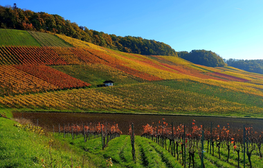 Radreiseleitung im HeilbronnerLand