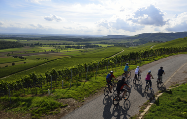 Radreiseleitung Württemberger Weinradweg