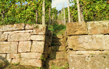 Steillagen - Terrassen - Wengertstäffele