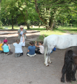 Unvergessliche Erlebnisstunden auf dem Reitbetrieb Marz  in Menzingen | © Stadt Kraichtal