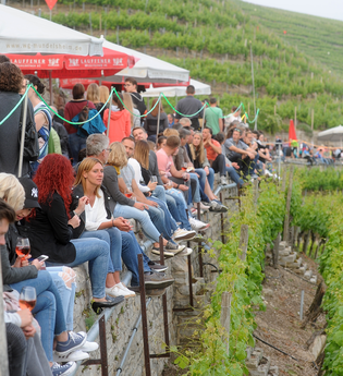 Veranstaltungen vom Käsbergkeller Mundelsheim