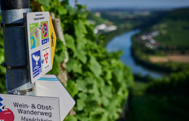 Ein Wanderwegweiser mit Symbolen verschiedener Routen steht vor einer Weinbergkulisse mit Blick ins Neckartal. | © Kraichgau-Stromberg Tourismus e.V.