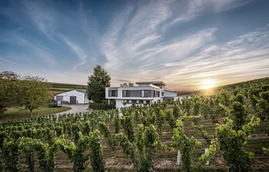 Blick auf die Weinberge und das Gebäude des Weinguts Eberbach-Schäfer bei Sonnenuntergang | © Privatweingut Eberbach-Schäfer