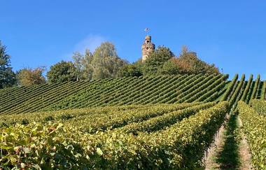 Wein-Schatzsuche am Heuchelberg