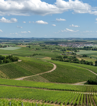 Aussicht über Nordheim und das Zabergäu | © Gemeinde Nordheim
