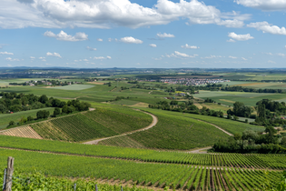 Aussicht über Nordheim und das Zabergäu | © Gemeinde Nordheim