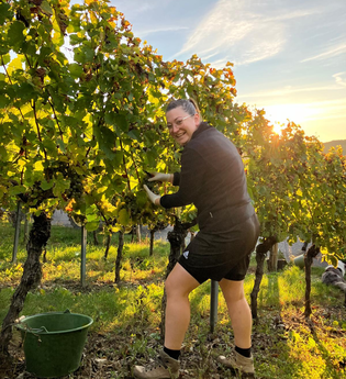 Weingästeführerin bei der Arbeit im Weinberg | © Christin Kuhn