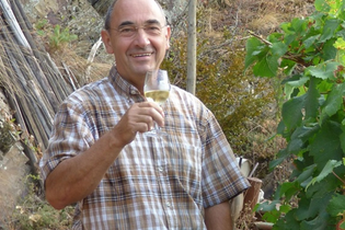 Weinwanderung mit PIWI Weinen