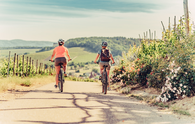 Wineflight Neckar-Zaber