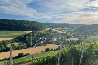 Adelshofen | © Liebliches Taubertal