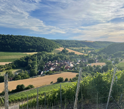 © Liebliches Taubertal