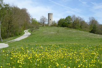 Aub | © Liebliches Taubertal