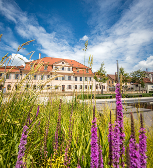 Bönnigheim | © Stadt Bönnigheim