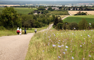 Bruchsal | © Bruchsaler Tourismus, Marketing & Veranstaltungs GmbH