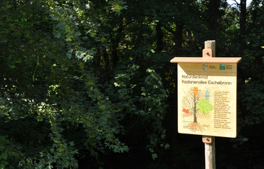 Hinweisschild Naturdenkmal Eschelbronn vor Bäumen
