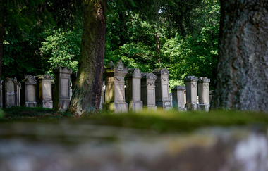 Reihe historischer Grabsteine auf dem Jüdischen Friedhof in Freudental, umgeben von altem Baumbestand. | © Kraichgau-Stromberg Tourismus e.V.