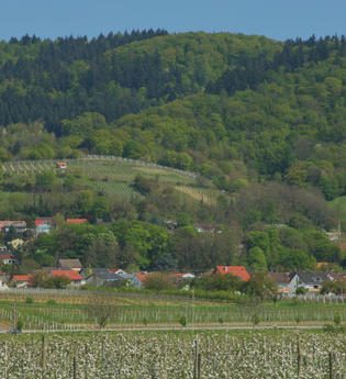 Hirschberg an der Bergstraße
