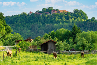 Igersheim | © Liebliches Taubertal
