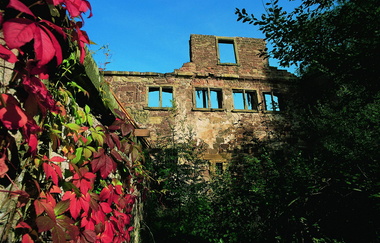Wasserschlossruine Menzingen