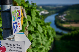 Ein Wanderwegweiser mit Symbolen verschiedener Routen steht vor einer Weinbergkulisse mit Blick ins Neckartal. | © Kraichgau-Stromberg Tourismus e.V.