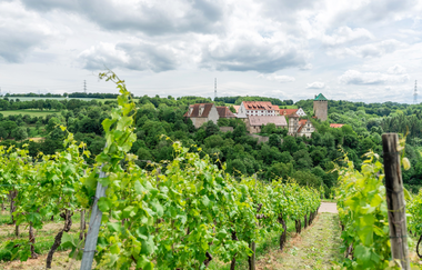 Schloss Liebenstein | Neckarwestheim | HeilbronnerLand | © Schloss Liebenstein