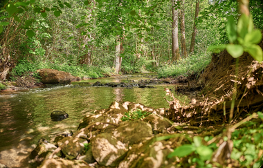DSGVO NT Neckarwestheim Schozach 1 WEB | © artofpoggel.de Kristof Poggel