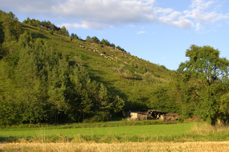 Neubrunn | © Markt Neubrunn