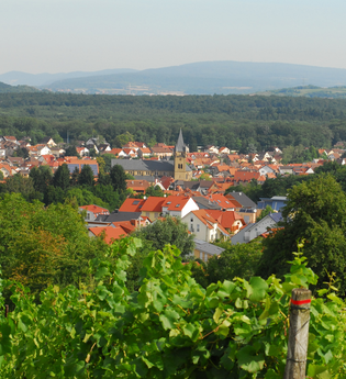 Östringen | © Land der 1000 Hügel - Kraichgau-Stromberg