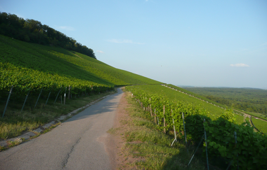 Sachsenheim | © Stadt Sachsenheim