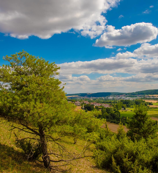 Steinsfeld | © Liebliches Taubertal