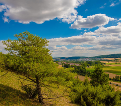 © Liebliches Taubertal