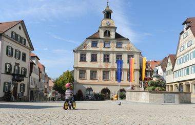 Vaihingen an der Enz