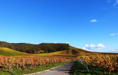 Vaihingen an der Enz