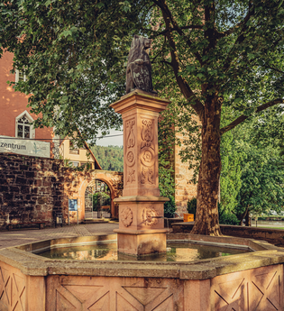 Blick auf das Naturparkzentrum in Eberbach | Eberbach | Odenwald | © Touristikgemeinschaft Odenwald e.V.