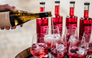 Landgut Steng | Entdeckertour | Bärbel Kraft | Bunter Hund | © Neckar-Zaber-Tourismus e.V.